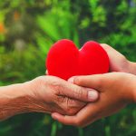 Traditional vs. Holistic Heart Care: Which Approach is Right for You?